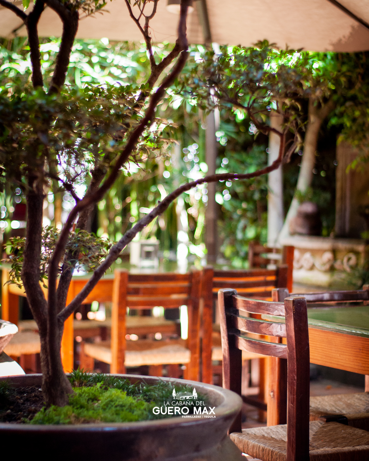 Mesa_jardines - Alexis Antonio Baez Hernandez