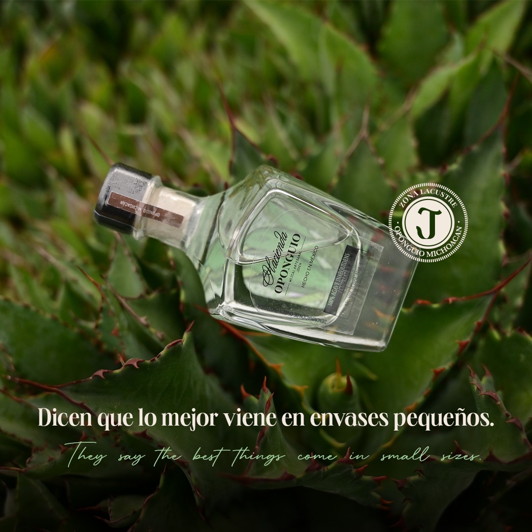 HaciendaOponguio2