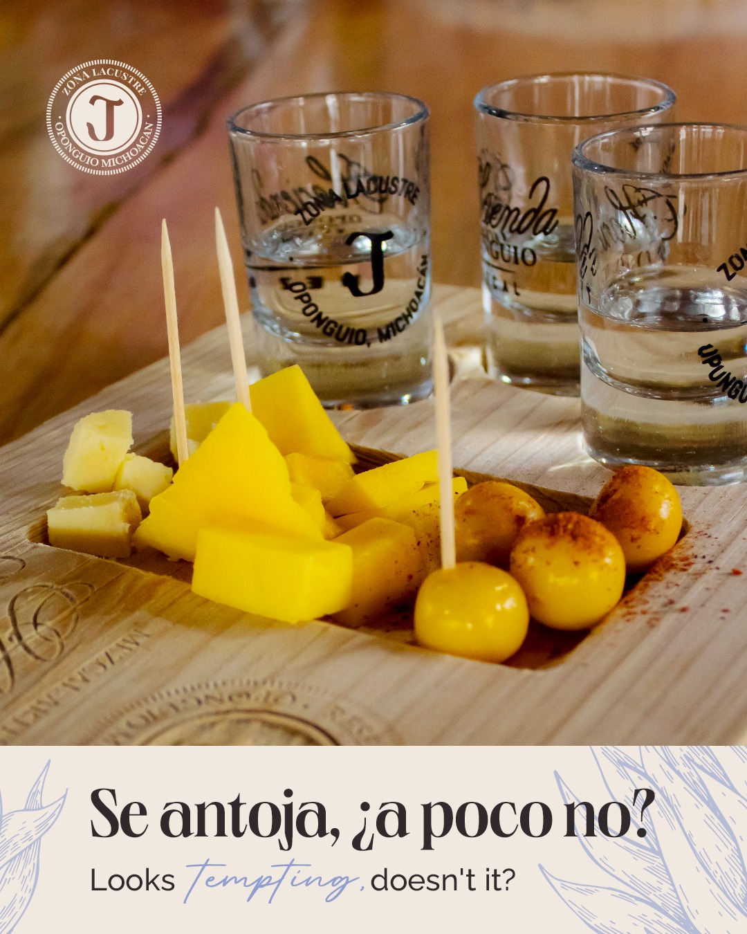 HaciendaOponguio4