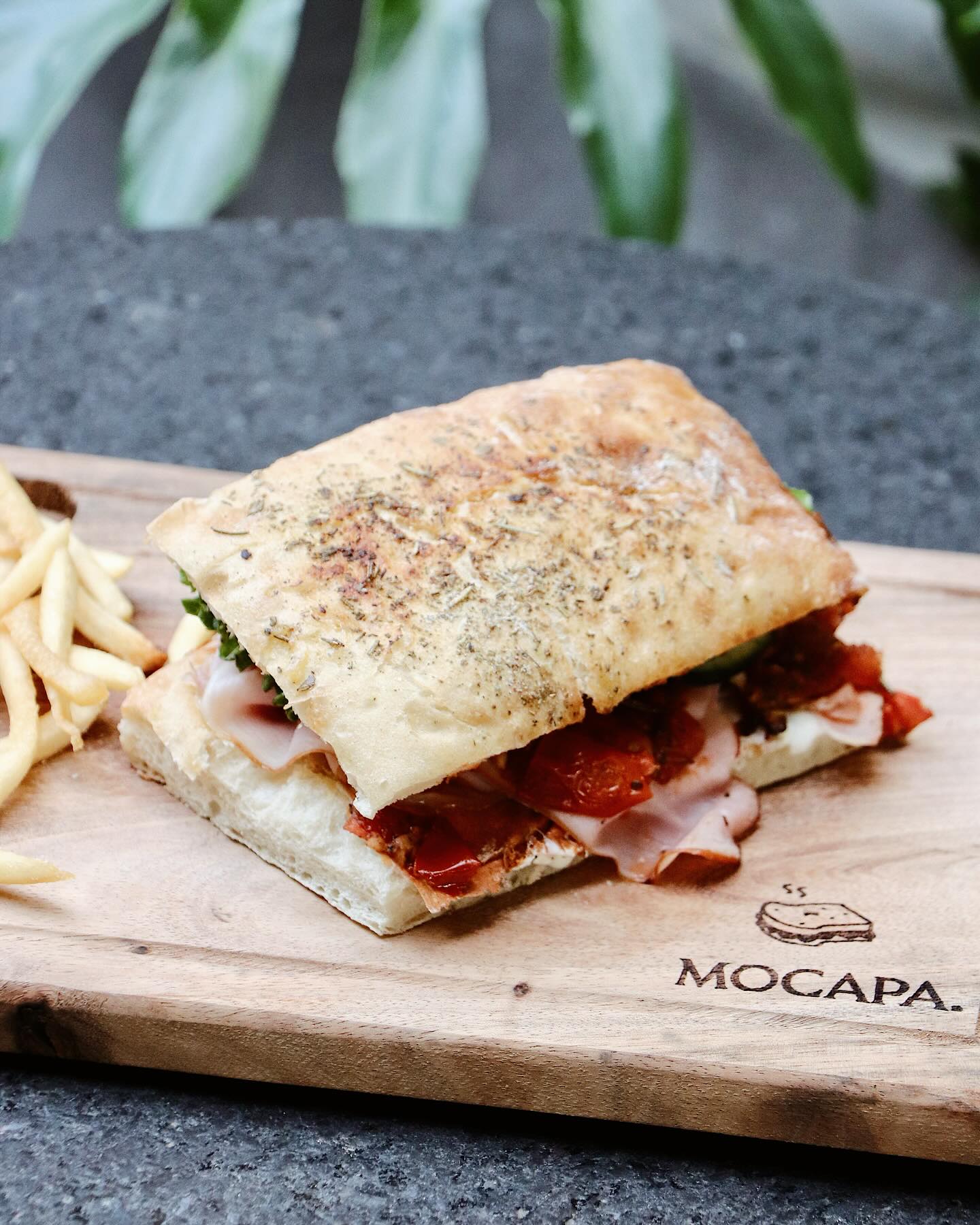 mocapa3