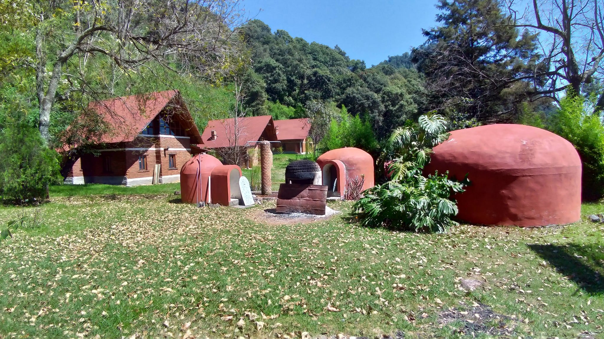 venao2